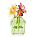 DAISY WILD INTENSE DAISY WILD INTENSE